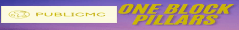 PublicMC