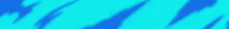 Rayed Network