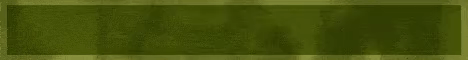 Minelife Survival