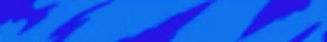 Star Network S1