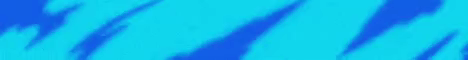 ICE NETWORK