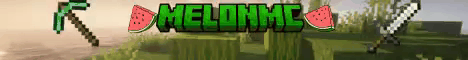 MelonMC.in