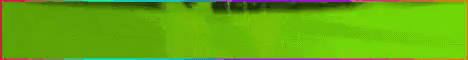 ToadSMP