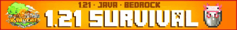 best minecraft server InsanityCraft