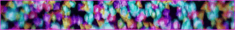 Soloris