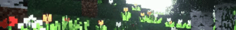 WildMC