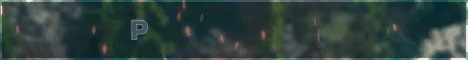 Playlegend Network