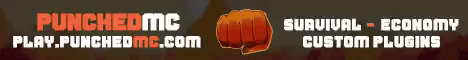 PunchedMC