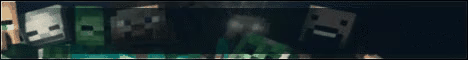 ENter J smp