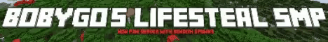 bobygo's Lifesteal SMP