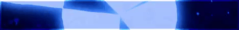 Luminex Network
